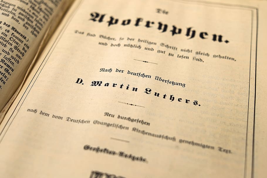 D Martin Luthers Book Page, chapter, document, font, literature HD wallpaper