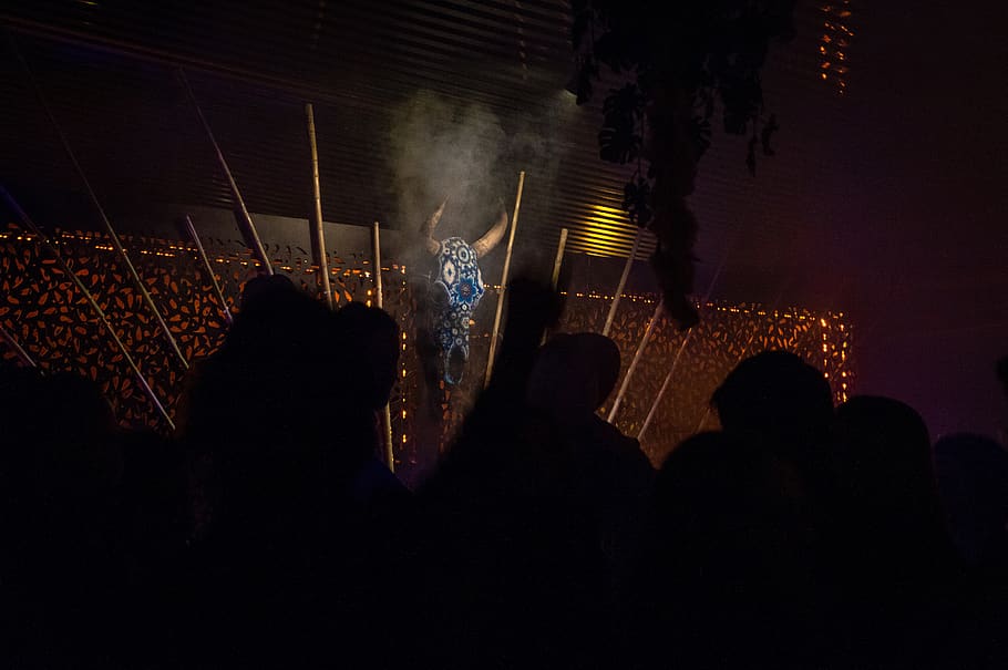 person, human, crowd, mexico, night life, flare, light, mexico city HD wallpaper