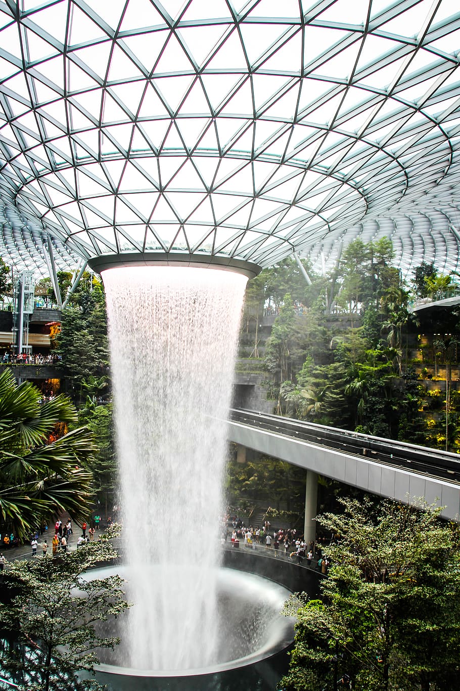 Singapore Garden By The Bay 1080p 2k 4k 5k Hd Wallpapers Free Download Wallpaper Flare