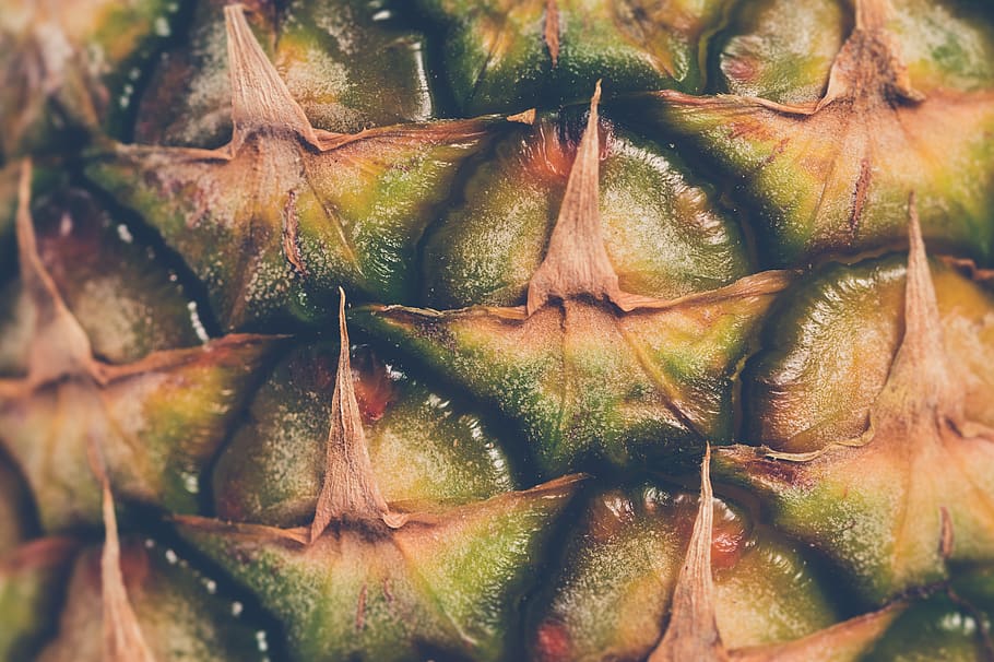 Green Pineapple, close-up, fruit, pattern, texture, tropical fruit HD wallpaper