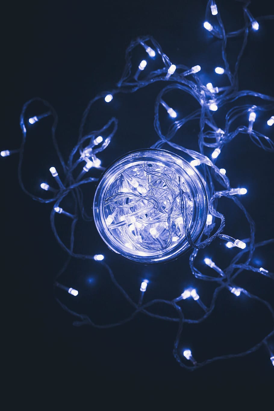 light, light leaks, trees, reflection, fairy light, mirroring HD wallpaper