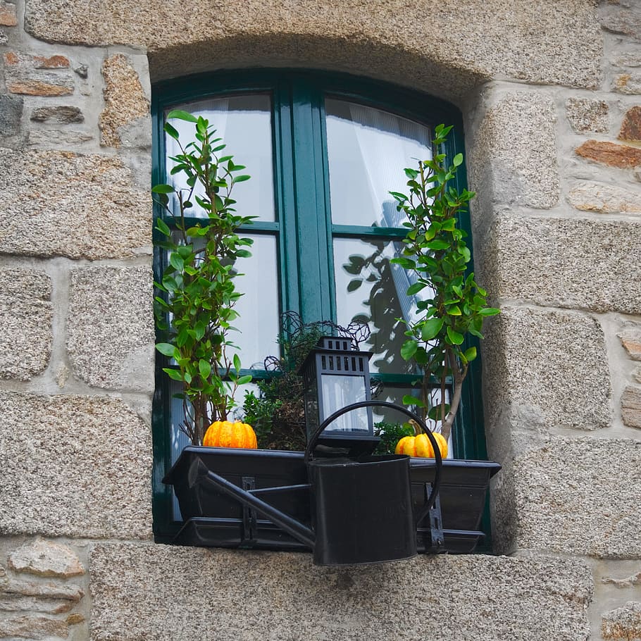 window, outside, plants, lantern, decorated, architecture, built structure HD wallpaper