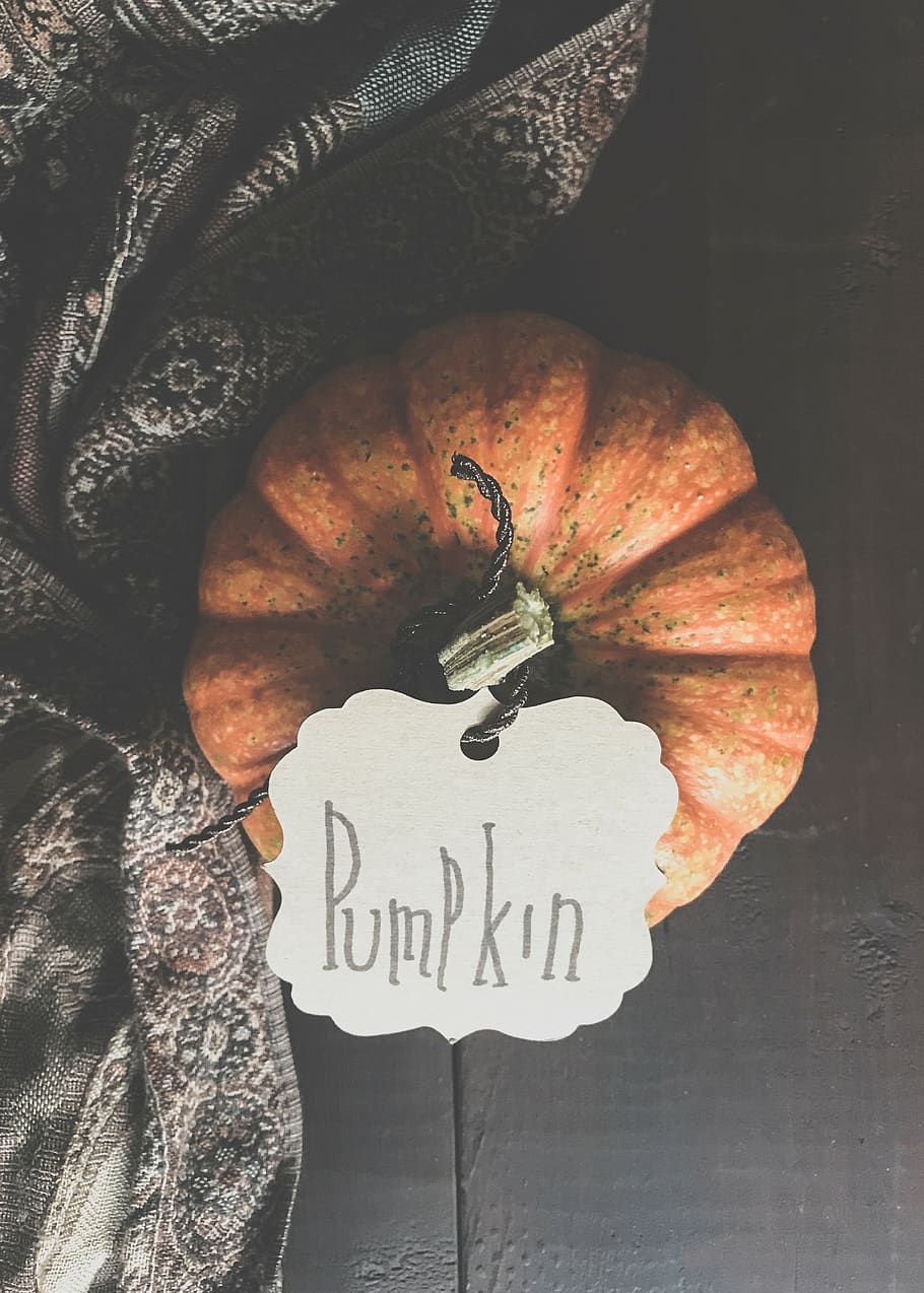 pumpkin closeup photo, text, western script, communication, close-up HD wallpaper