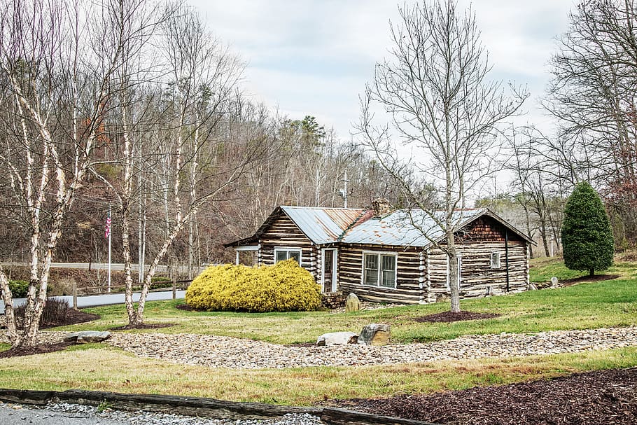 log house, tennessee, building, outdoors, forest, wild, trees HD wallpaper