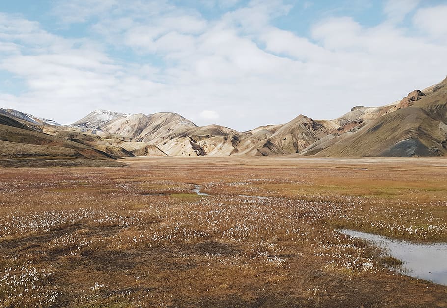 brown mountains during daytime, field, meadow, flower, puddle HD wallpaper