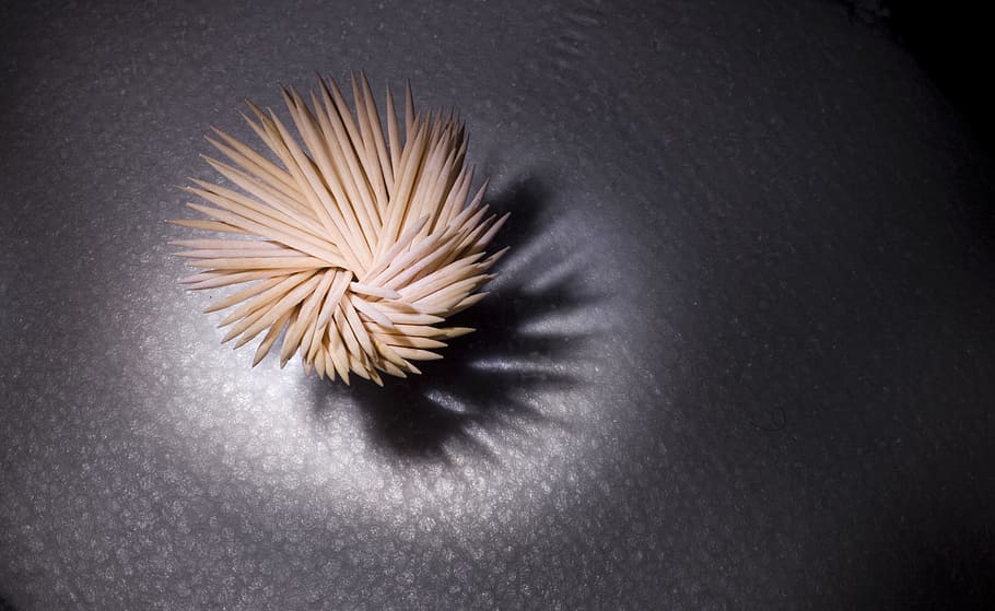 abstract, background, biting, clean, close-up, design, elegance HD wallpaper