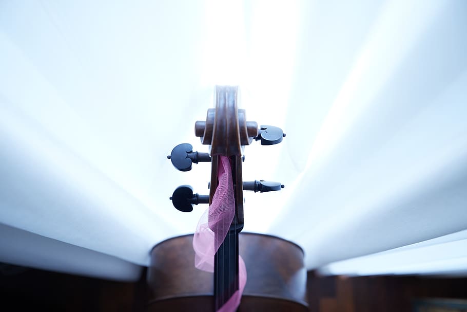 cello, one person, arts culture and entertainment, low angle view HD wallpaper