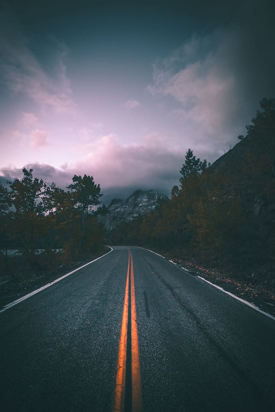 gray concrete road between trees, mountain, yellow line, perspective HD wallpaper