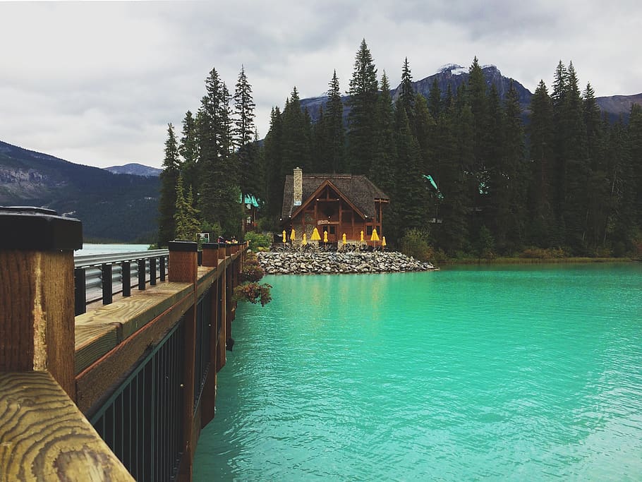 emerald lake, canada, aqua, clear, clean, lake louise, nature, HD wallpaper
