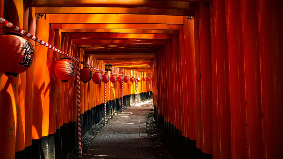 red lanterns in hallway, in a row, place of worship, architecture HD wallpaper