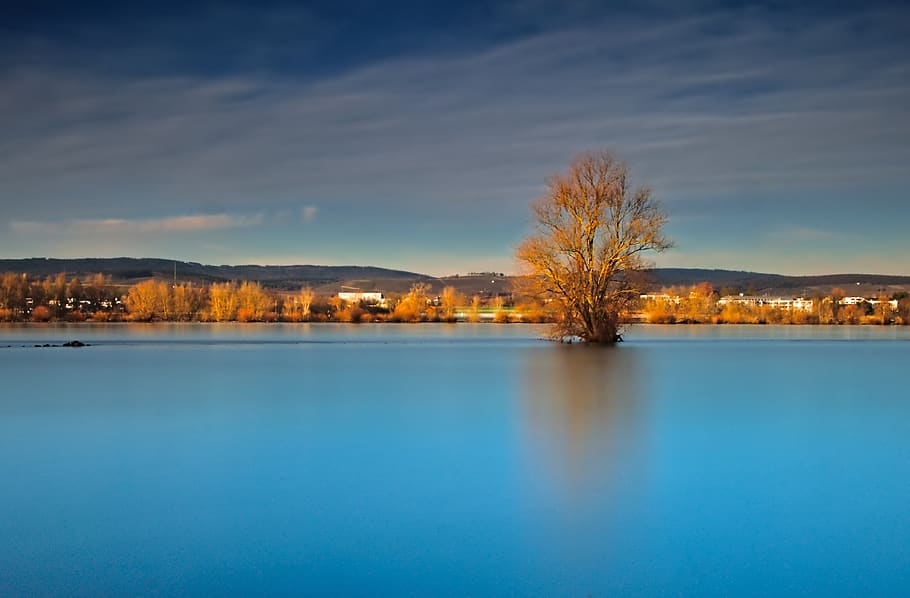 tree, river, long exposure, nature, landscape, scenic, reflection HD wallpaper