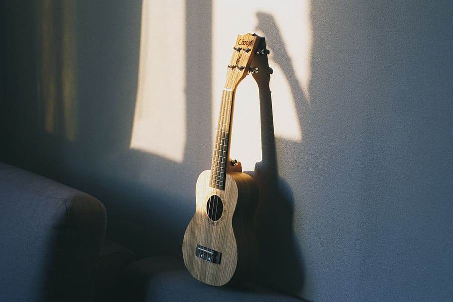 brown ukulele, music, string instrument, arts culture and entertainment HD wallpaper