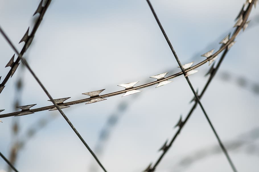 barbed wire, sharp, fence, security, border, prison, protection HD wallpaper