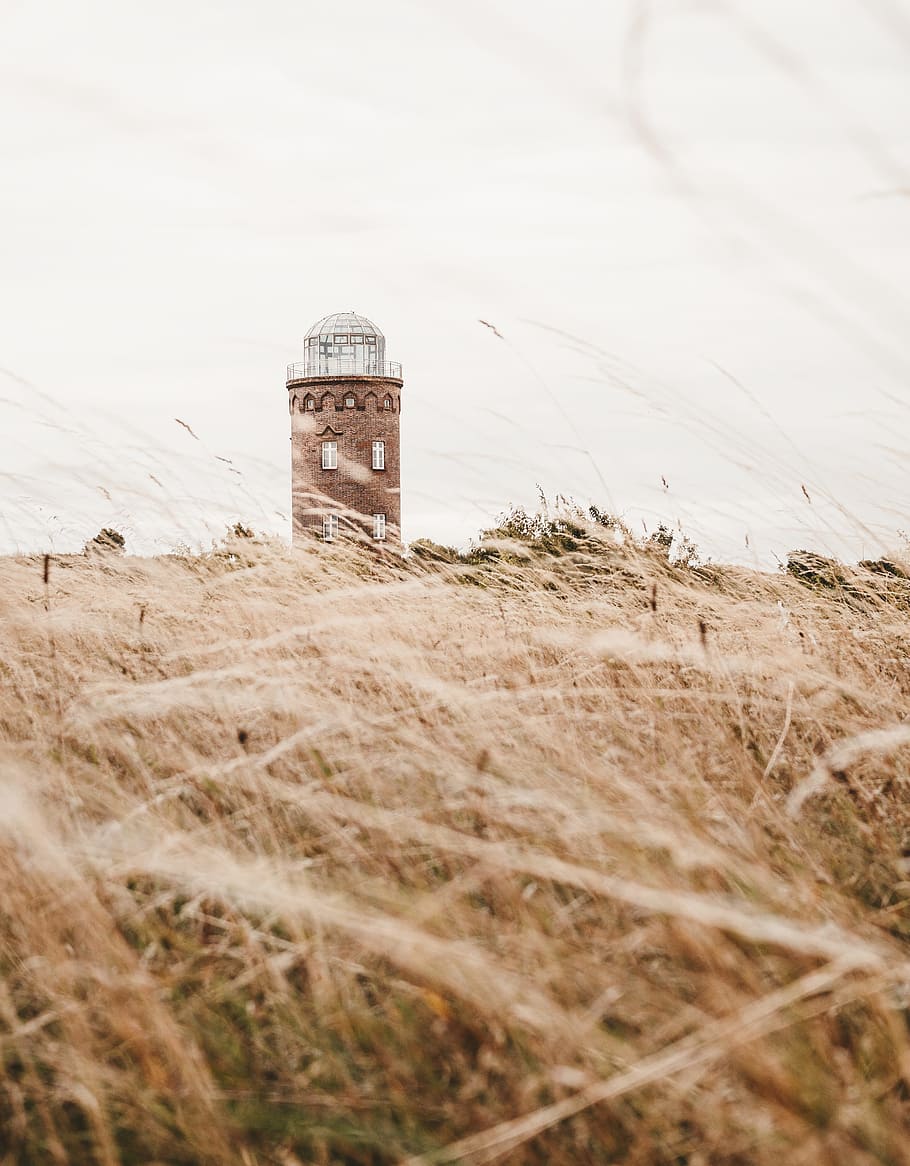 brown grass field under white sky, lighthouse, architecture, history HD wallpaper