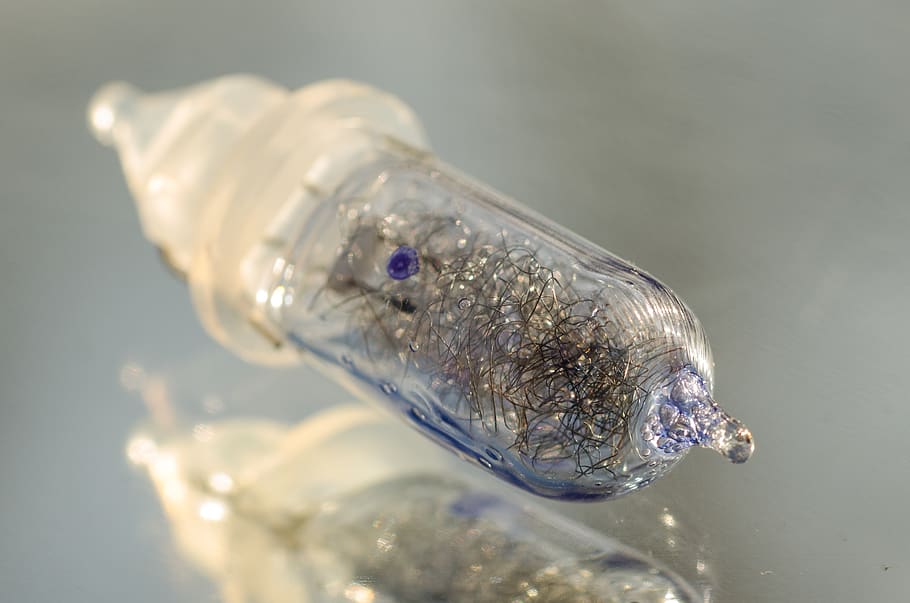 String Light Bulb, glass, reflection, transparent, animal, one animal HD wallpaper