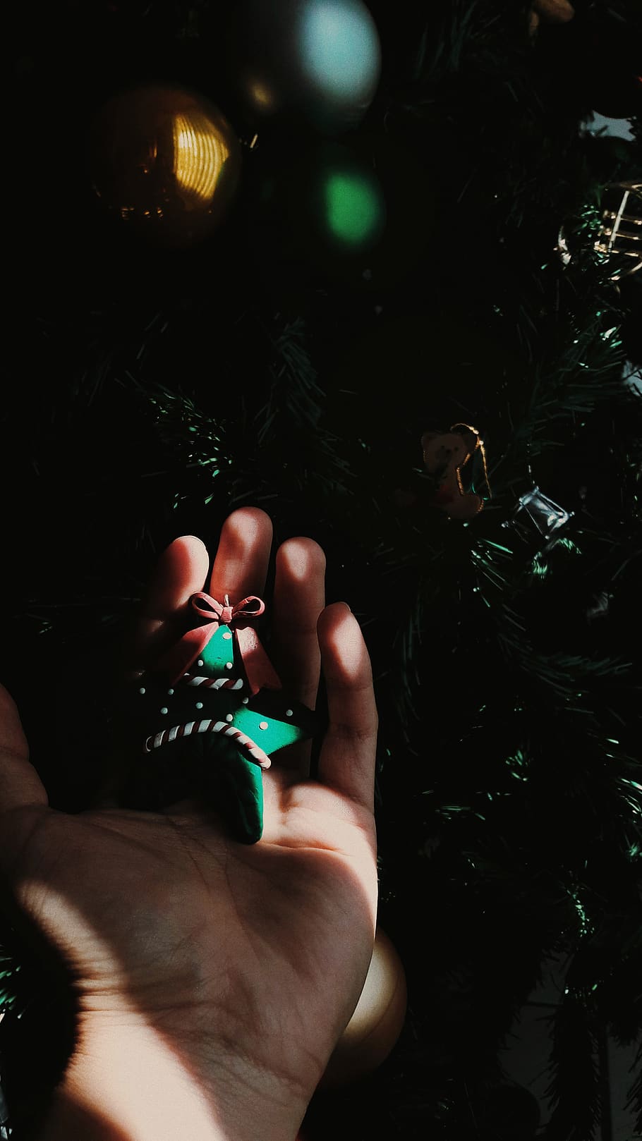 christmas, tree, star, spheres, green, hand, human hand, human body part HD wallpaper