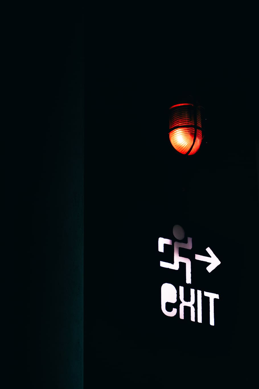 black and red Exit street sign, lighting, lamp, plant, traffic light, HD wallpaper