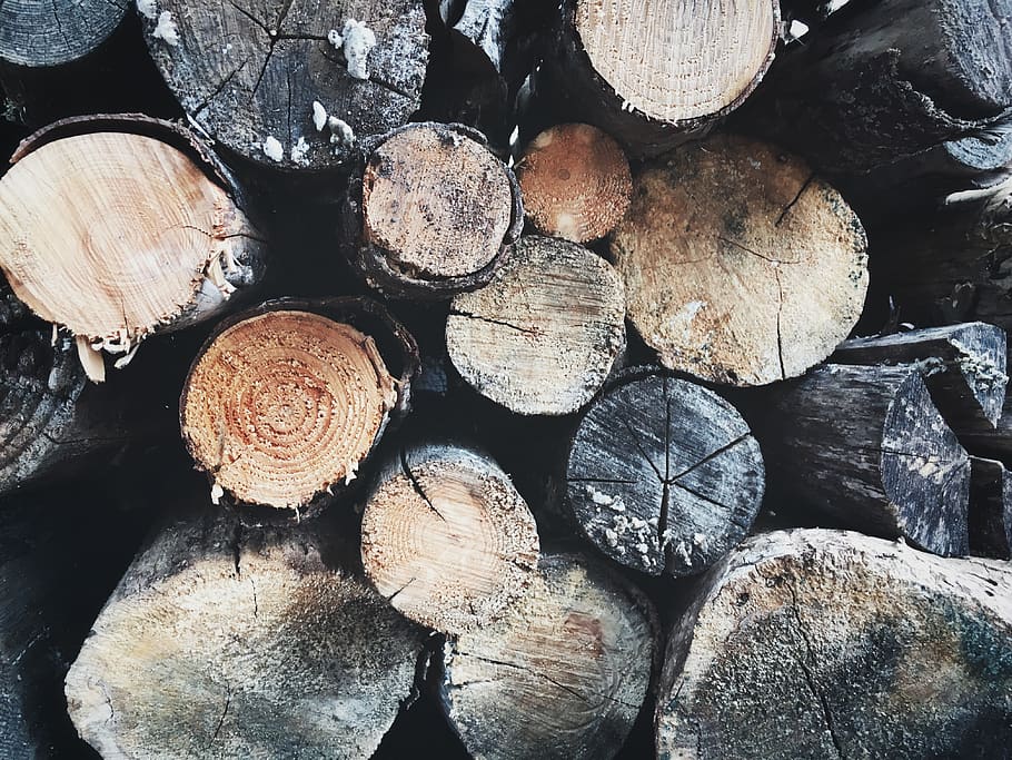 log, tree, timber, lumber, logging, wood pile, gray, black HD wallpaper