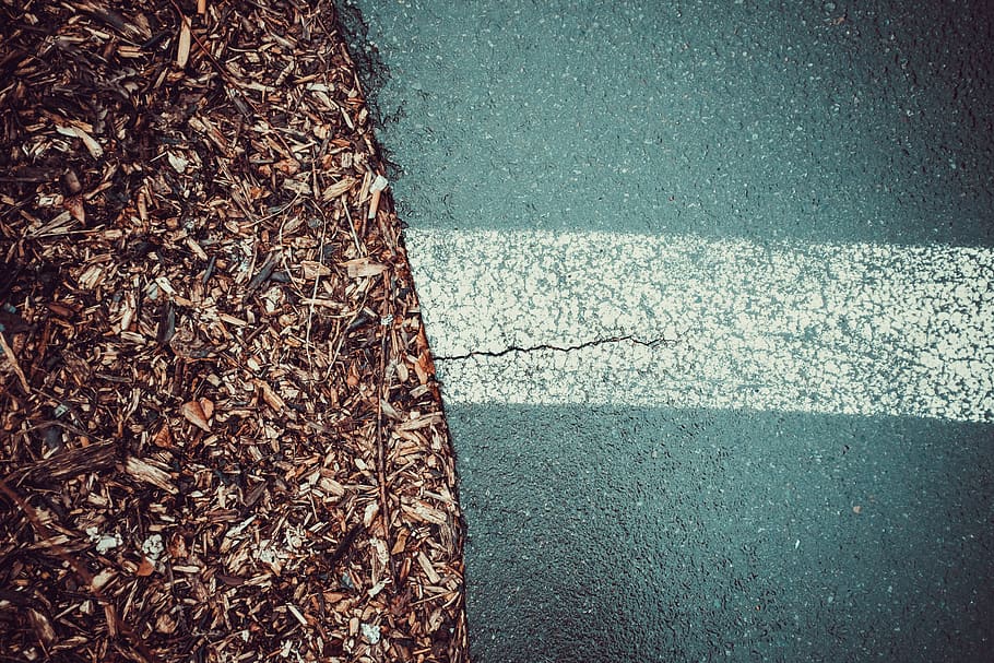 leuven, belgium, pattern, plant, ground, nature, background HD wallpaper