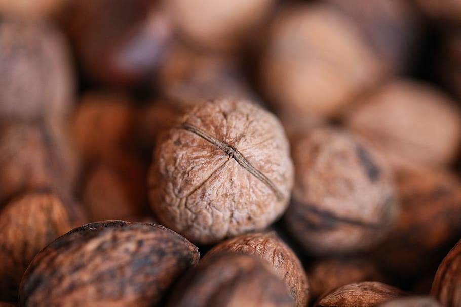 brown nuts, food and drink, healthy eating, wellbeing, freshness HD wallpaper