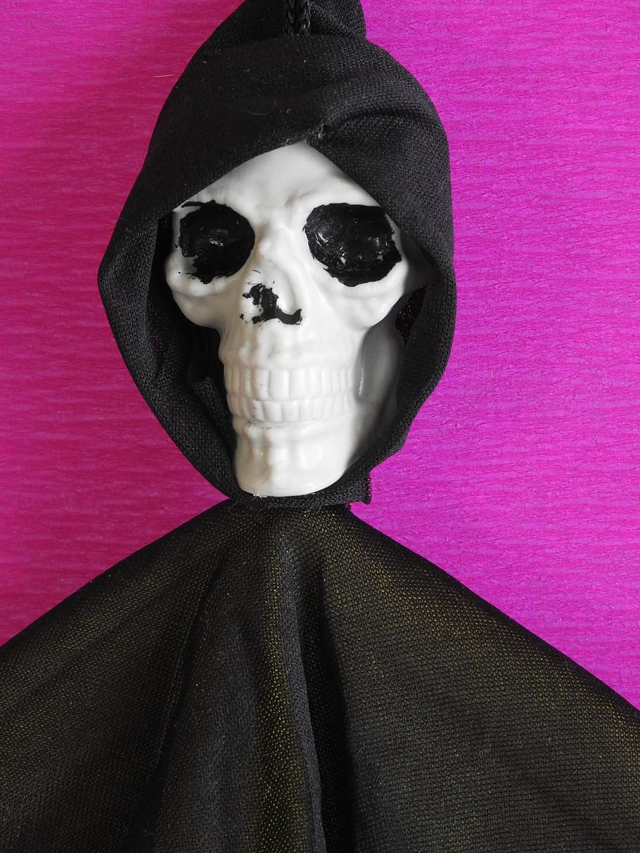 skull, halloween, dead, face, spooky, indoors, horror, one person HD wallpaper