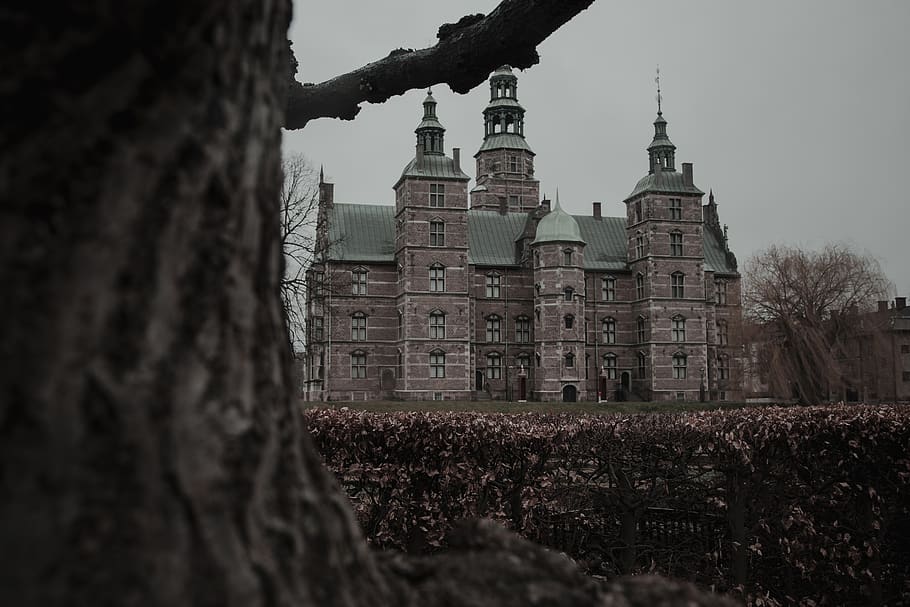architecture, tower, building, spire, steeple, tree, plant HD wallpaper