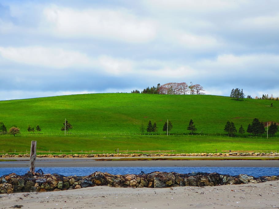 nova scotia, canada, breach, summer, hill, trees, sky, cloud - sky HD wallpaper