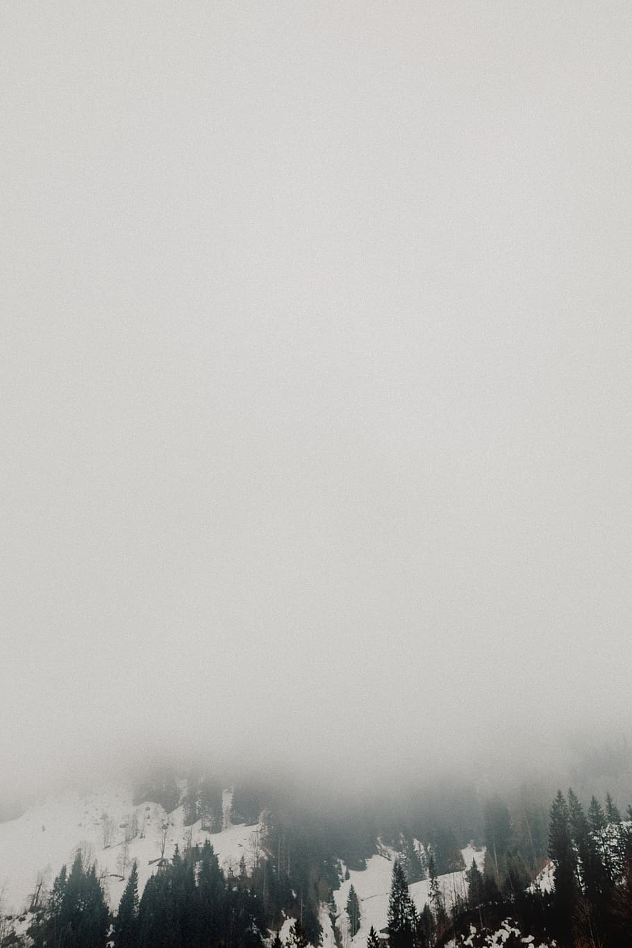 sky, copy space, fog, building exterior, nature, architecture HD wallpaper