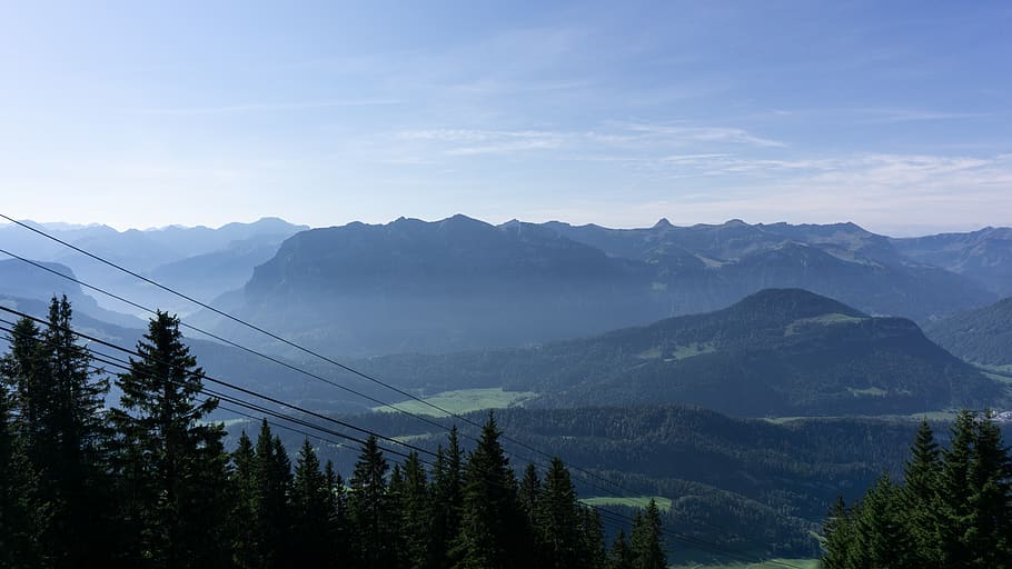 österreich, bezau, forest, view, mountains, fog, nature, alps HD wallpaper