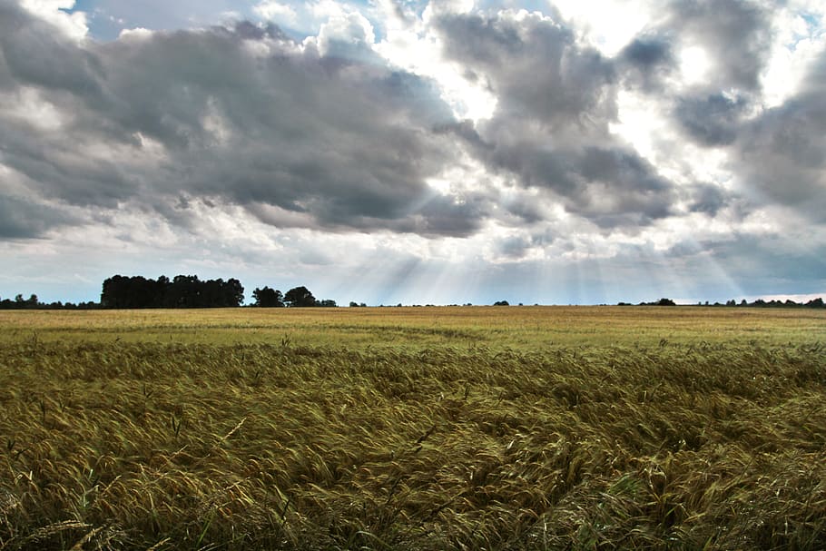 sun, sunray, summer, field, poland, sky, cloud - sky, landscape HD wallpaper