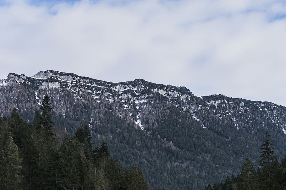 Mountain, daylight, forest, landscape, nature, scenic, trees HD wallpaper