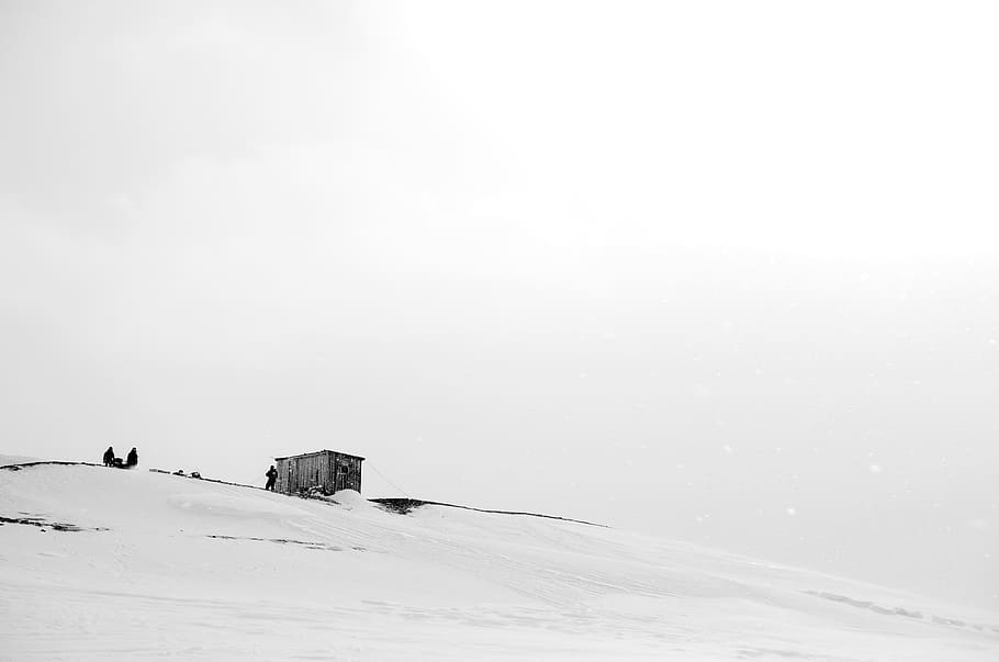 svalbard and jan mayen, spitsbergen, arctic, northpole, snow, HD wallpaper