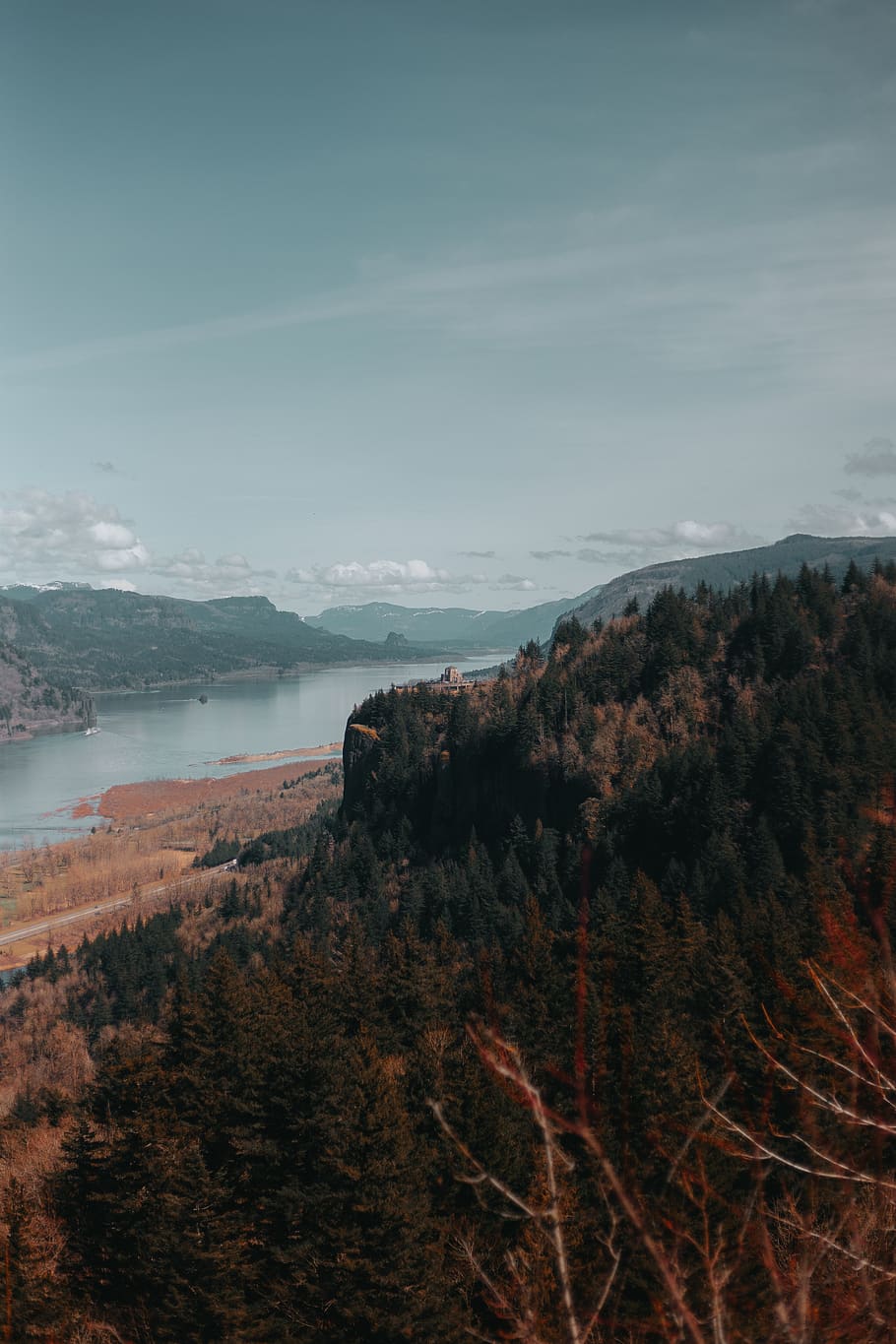 trees near river, nature, outdoors, mountain, plant, promontory HD wallpaper