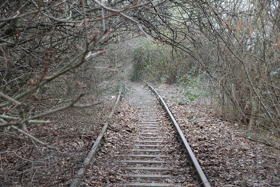 track, rail, old, train, railway premises, nature, tree, direction HD wallpaper