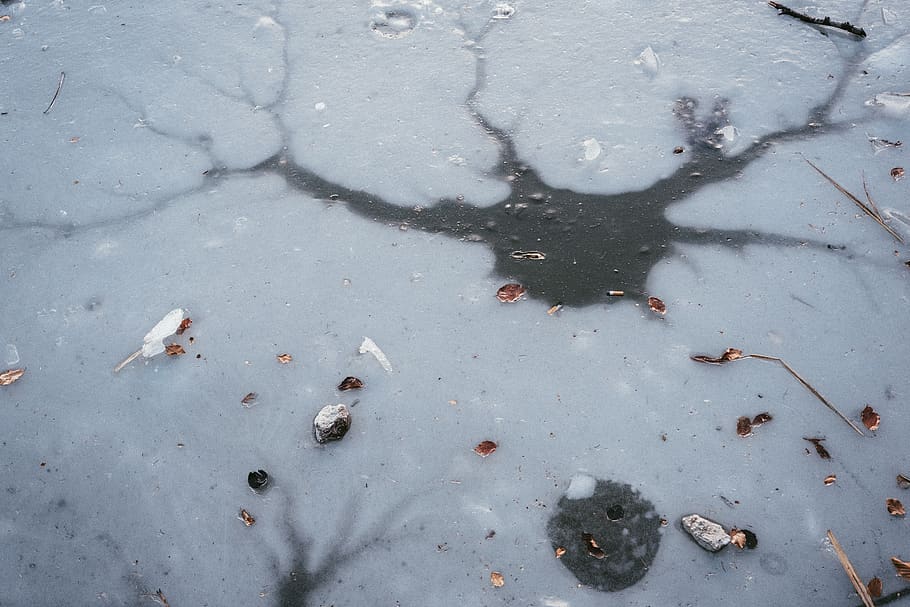hole, trees, ice, winter, lake, forest, high angle view, water HD wallpaper