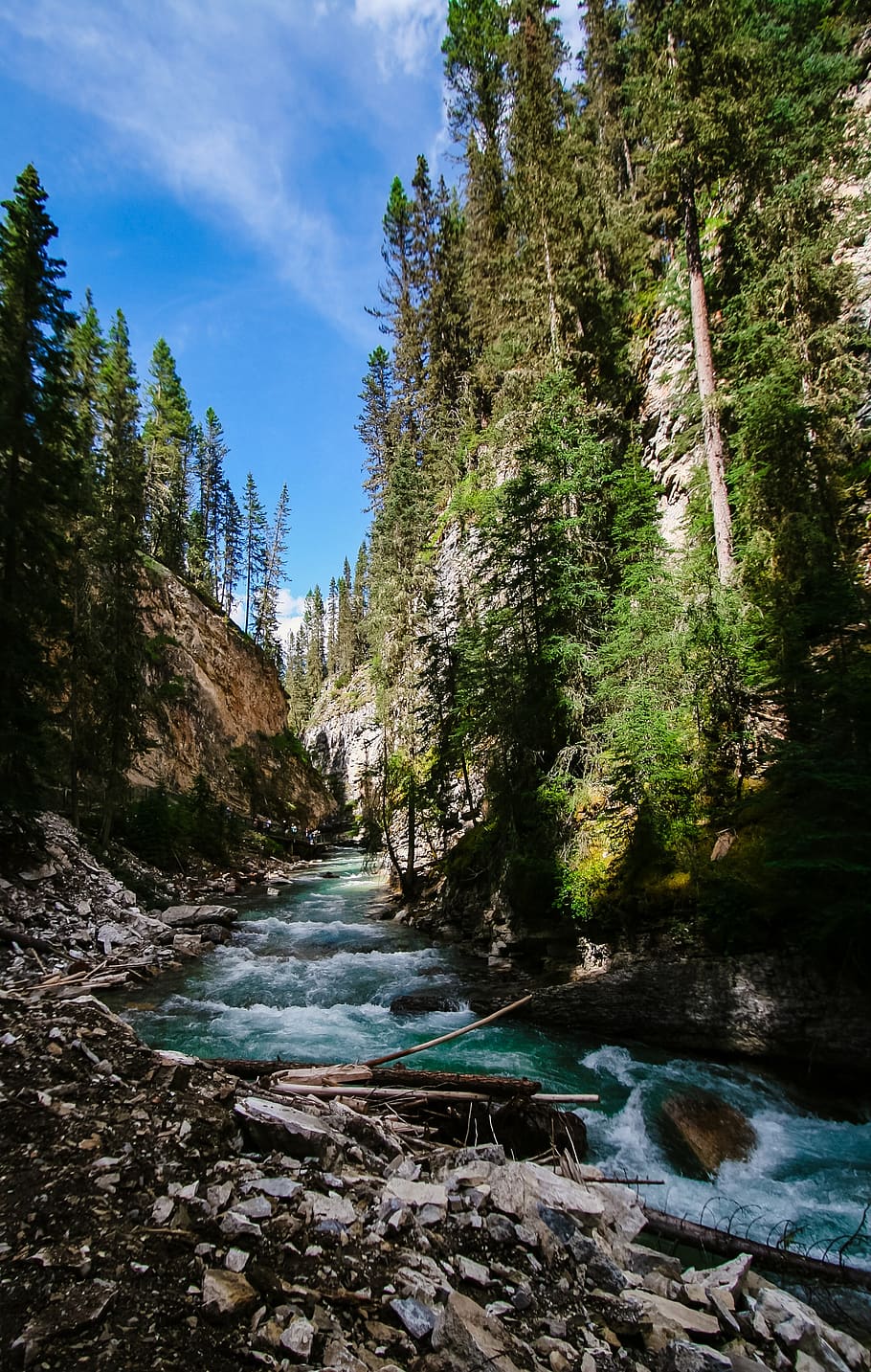 river, forest, landscape, tree, plant, water, beauty in nature HD wallpaper