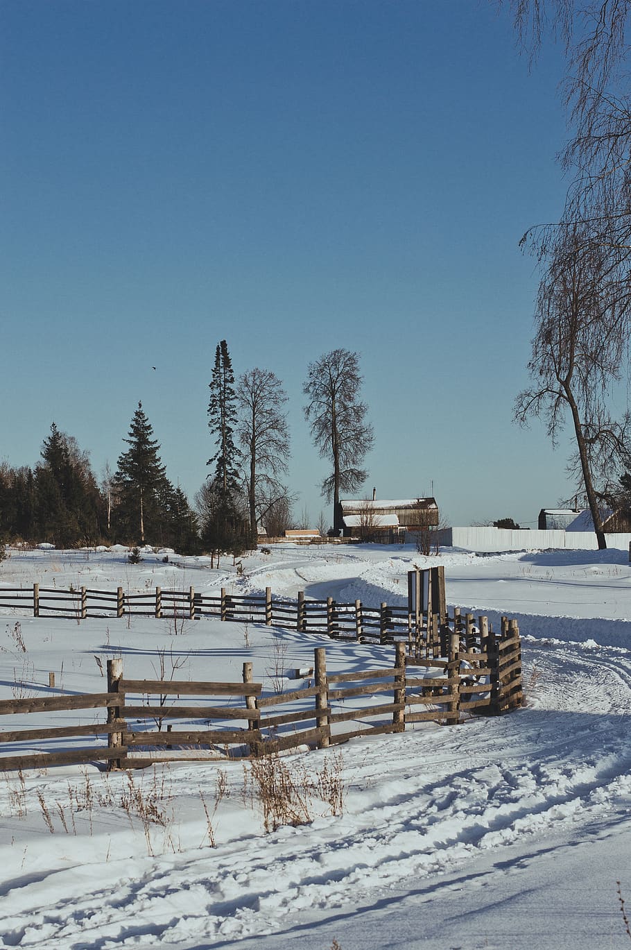 Brown Wooden Fence during Winter, blue sky, cold, colors, daytime HD wallpaper