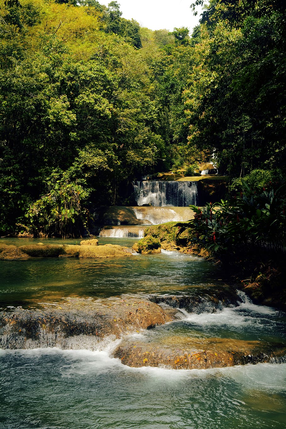 jamaica, ys falls, jungle, water, tree, plant, nature, motion