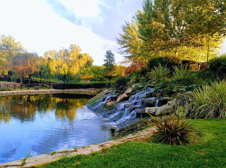 nature, waterfall, lake, brook, plant, tree, beauty in nature HD wallpaper