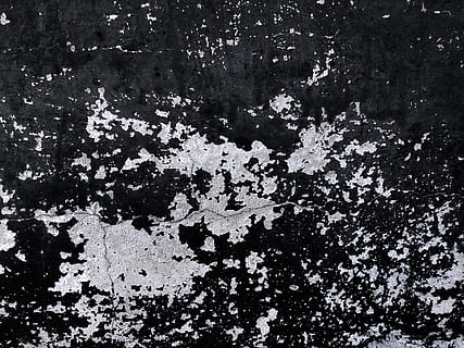 chipped black paint, texture, wall, rug, plant, tree, floor, black and white HD wallpaper