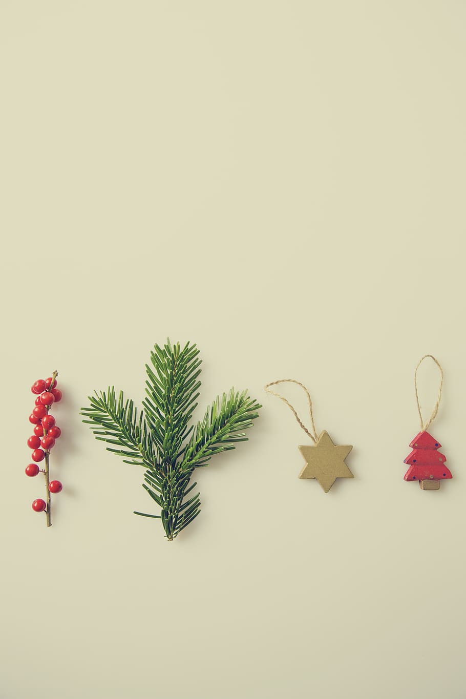 Red Pine Trees Star Palm Tree Branch and Red Berry on White Background HD wallpaper