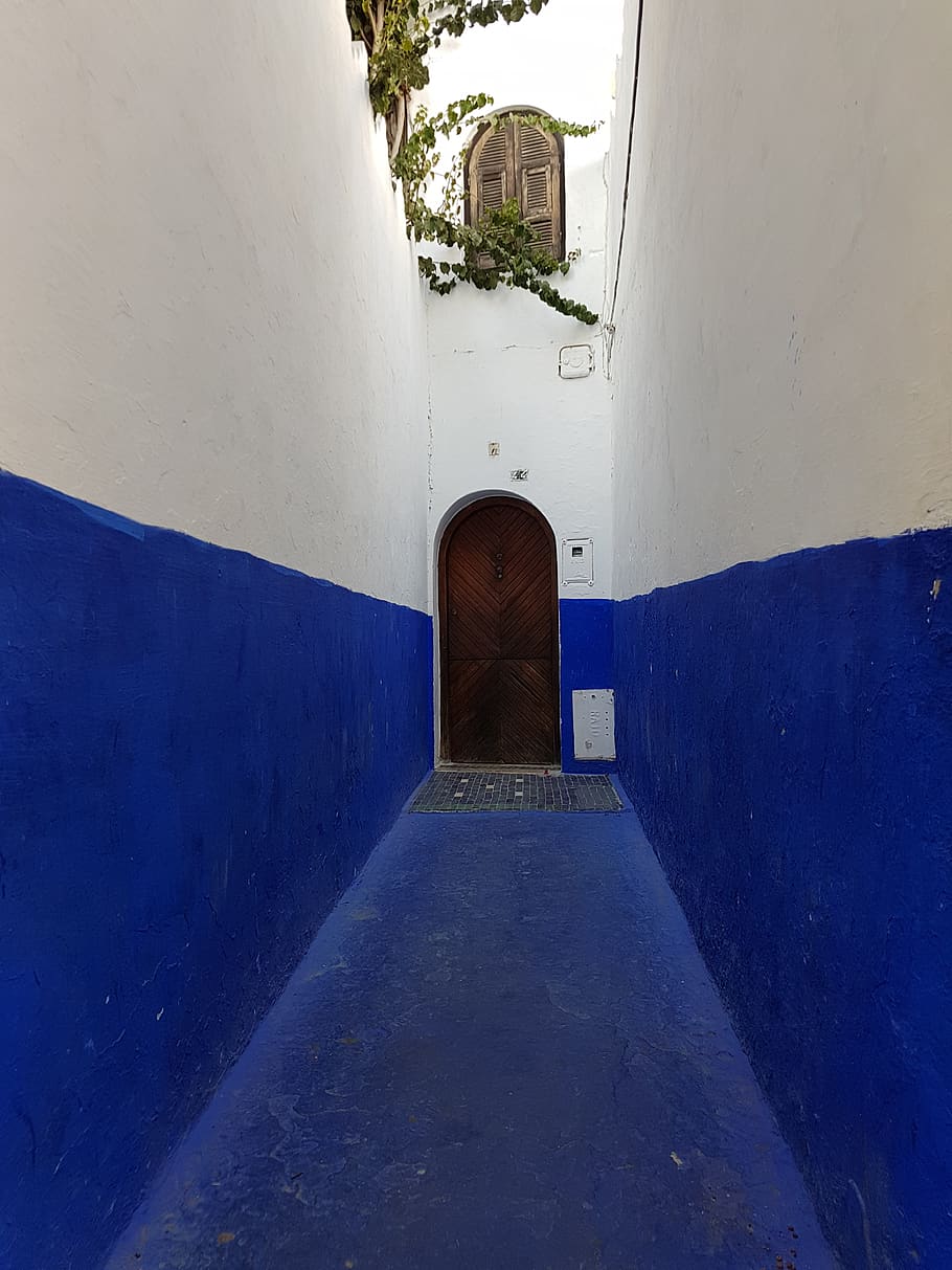 morocco, chefchaouen, blue, doors, chefchouen, my morocco, travel, HD wallpaper