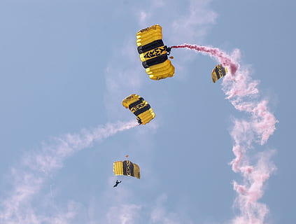 skydive, skydivers, parachute, skydiving, military, parachuting HD wallpaper
