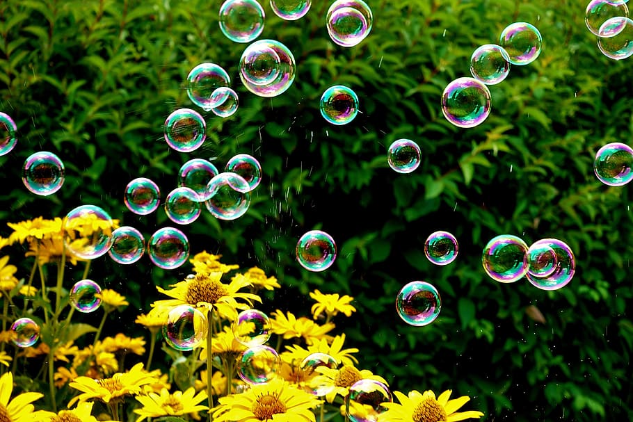 soap bubbles, colorful, summer, float, slightly, ease, make soap bubbles HD wallpaper