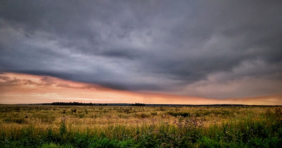 Brown and Green Grass Field, clouds, cloudy, dawn, farm, gloomy HD wallpaper