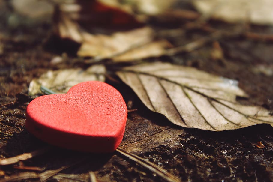 Close-up of Heart Shape, blur, dirt, dry, focus, ground, keychain HD wallpaper