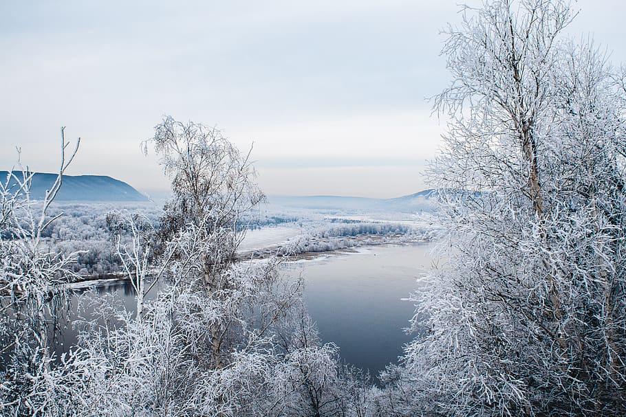 bare trees near lake, nature, ice, outdoors, snow, frost, samara HD wallpaper