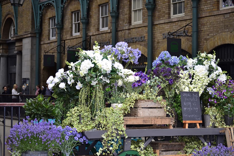 pile of arranged flowers, plant, person, human, london, blossom, HD wallpaper