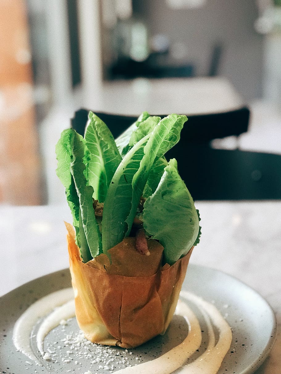 caesar salad, vegetable, meal, food and drink, leaf, herb, freshness HD wallpaper