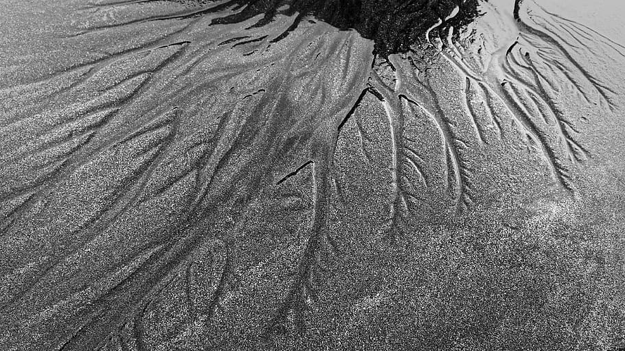beach, sand, drainage pattern, dendritic structure, scotland HD wallpaper